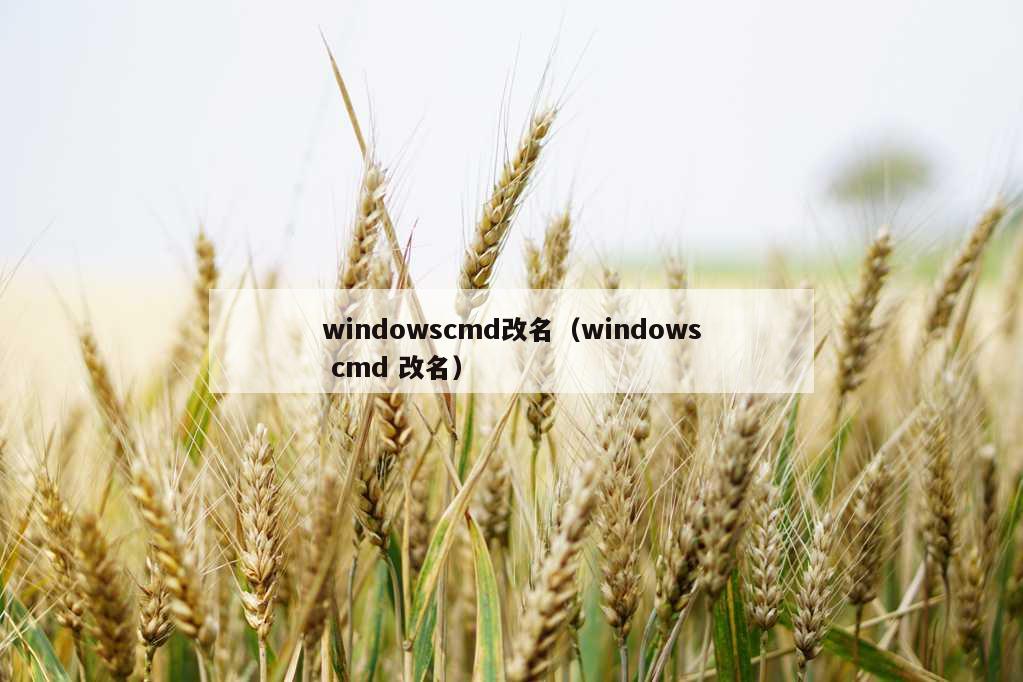windowscmd改名（windows cmd 改名）