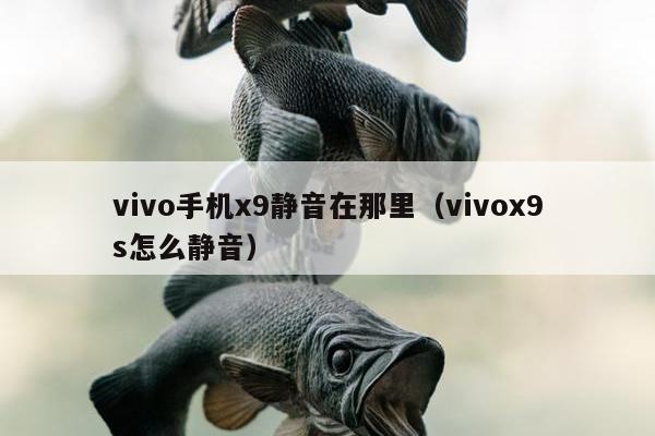 vivo手机x9静音在那里（vivox9s怎么静音）