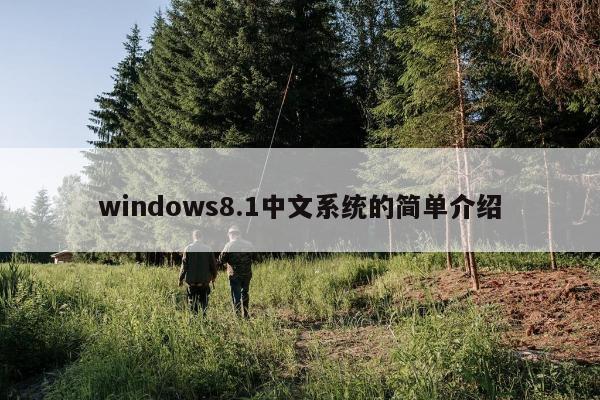 windows8.1中文系统的简单介绍