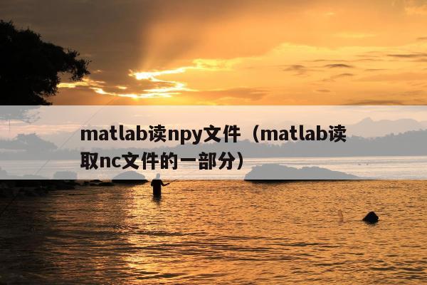 matlab读npy文件（matlab读取nc文件的一部分）