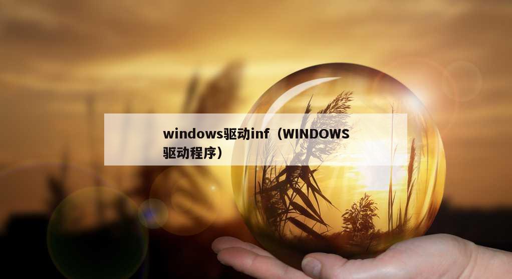 windows驱动inf（WINDOWS驱动程序）