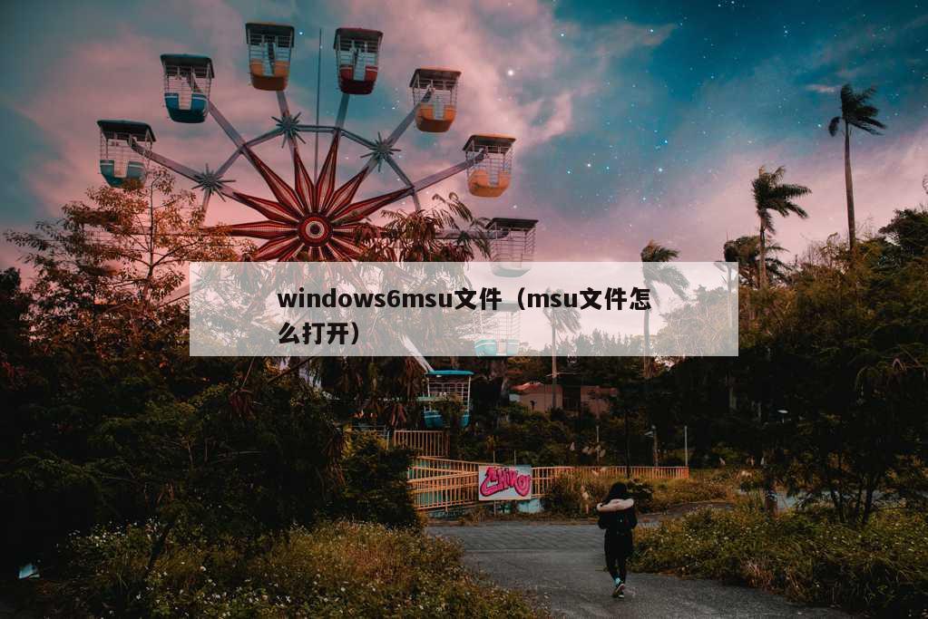 windows6msu文件（msu文件怎么打开）