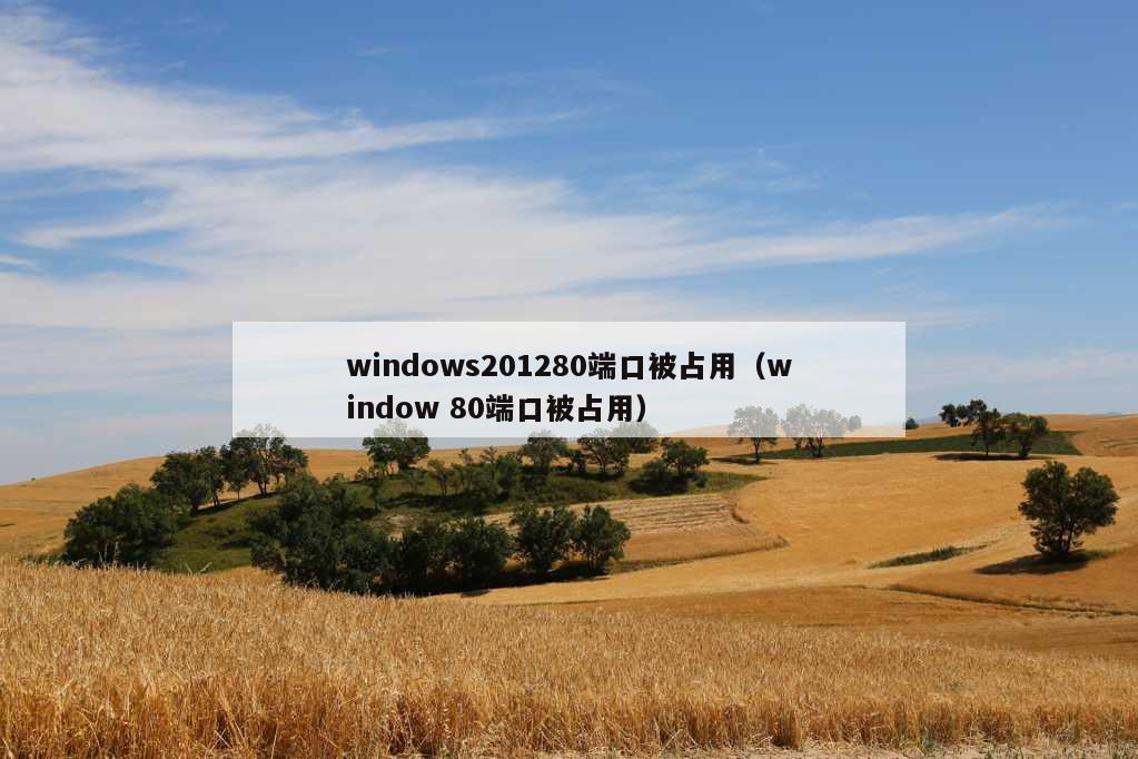 windows201280端口被占用（window 80端口被占用）