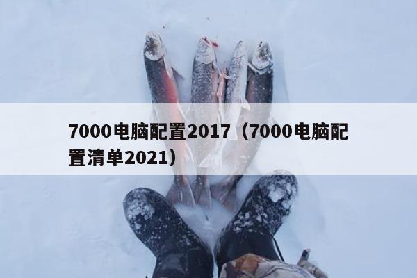 7000电脑配置2017（7000电脑配置清单2021）