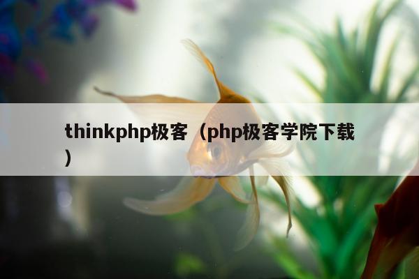 thinkphp极客（php极客学院下载）