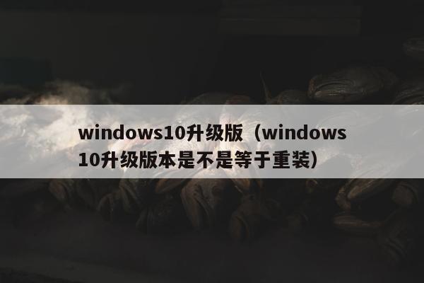 windows10升级版（windows10升级版本是不是等于重装）
