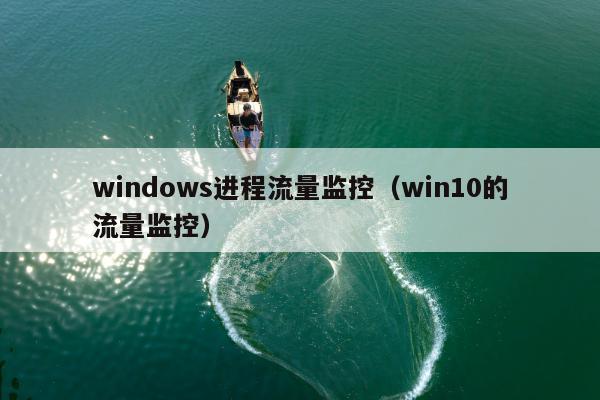 windows进程流量监控（win10的流量监控）