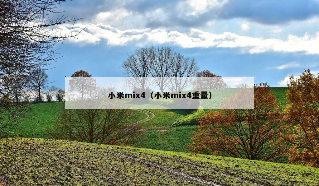 小米mix4（小米mix4重量）