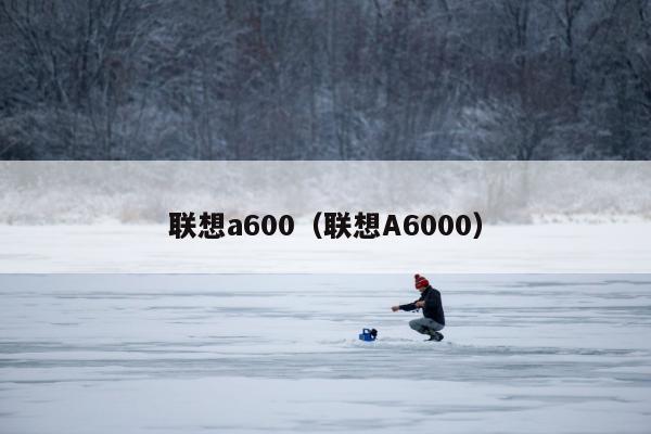 联想a600（联想A6000）
