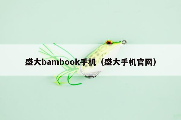 盛大bambook手机（盛大手机官网）