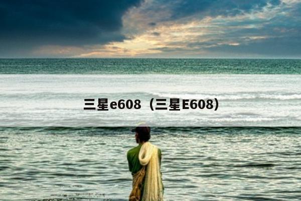 三星e608（三星E608）