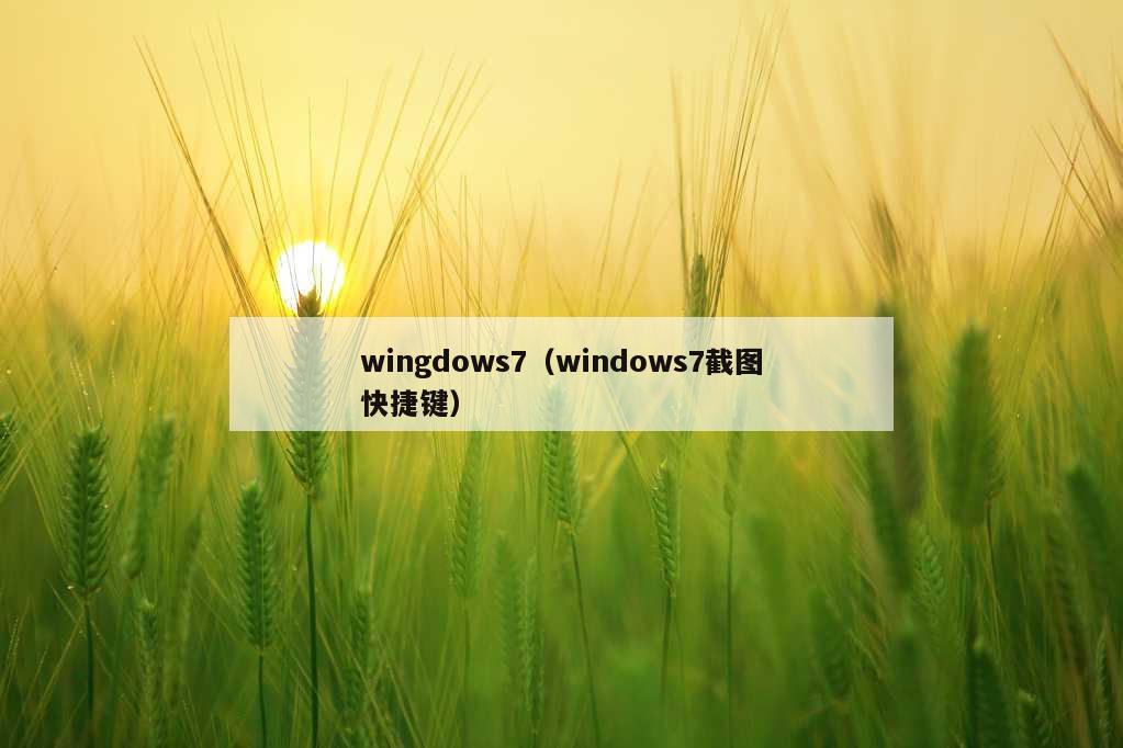 wingdows7（windows7截图快捷键）