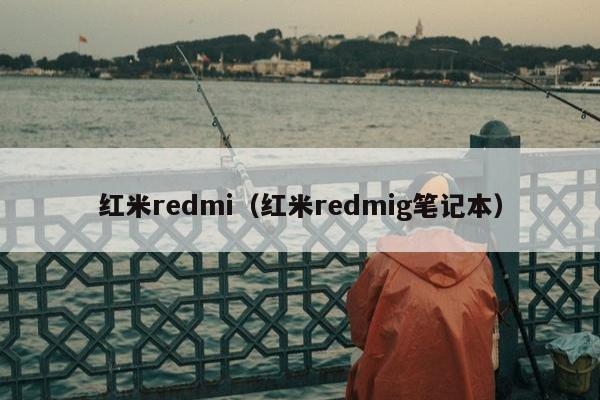 红米redmi（红米redmig笔记本）