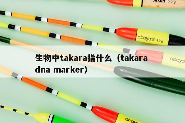 生物中takara指什么（takara dna marker）