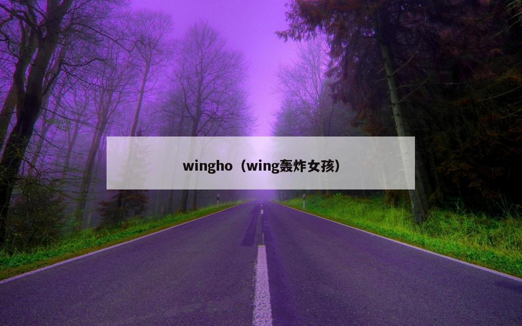 wingho（wing轰炸女孩）