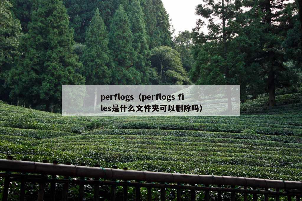 perflogs（perflogs files是什么文件夹可以删除吗）