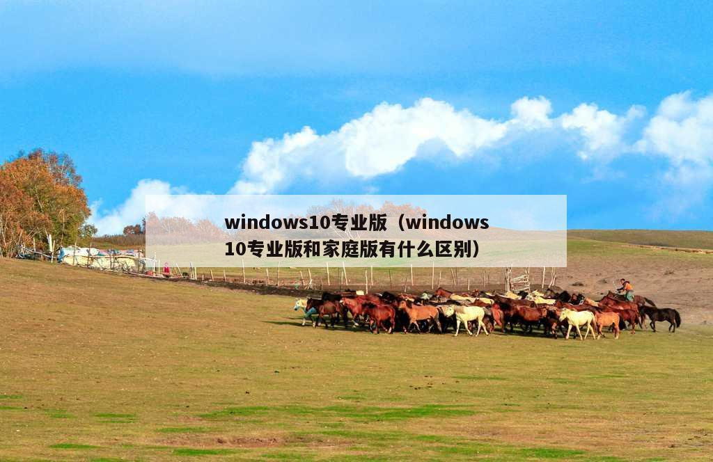 windows10专业版（windows10专业版和家庭版有什么区别）
