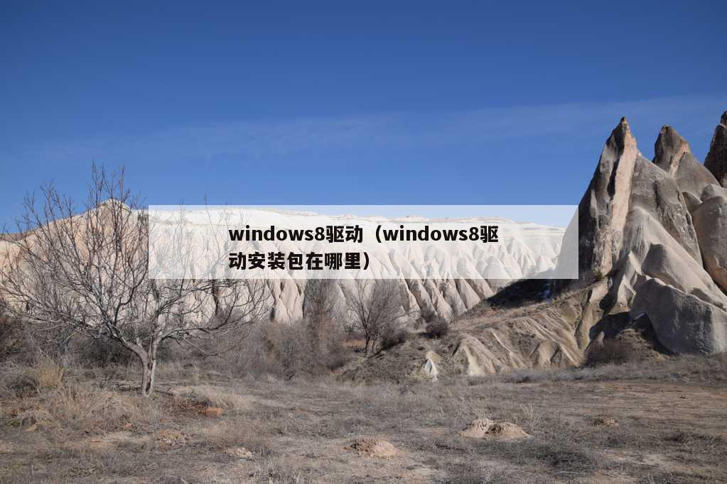 windows8驱动（windows8驱动安装包在哪里）