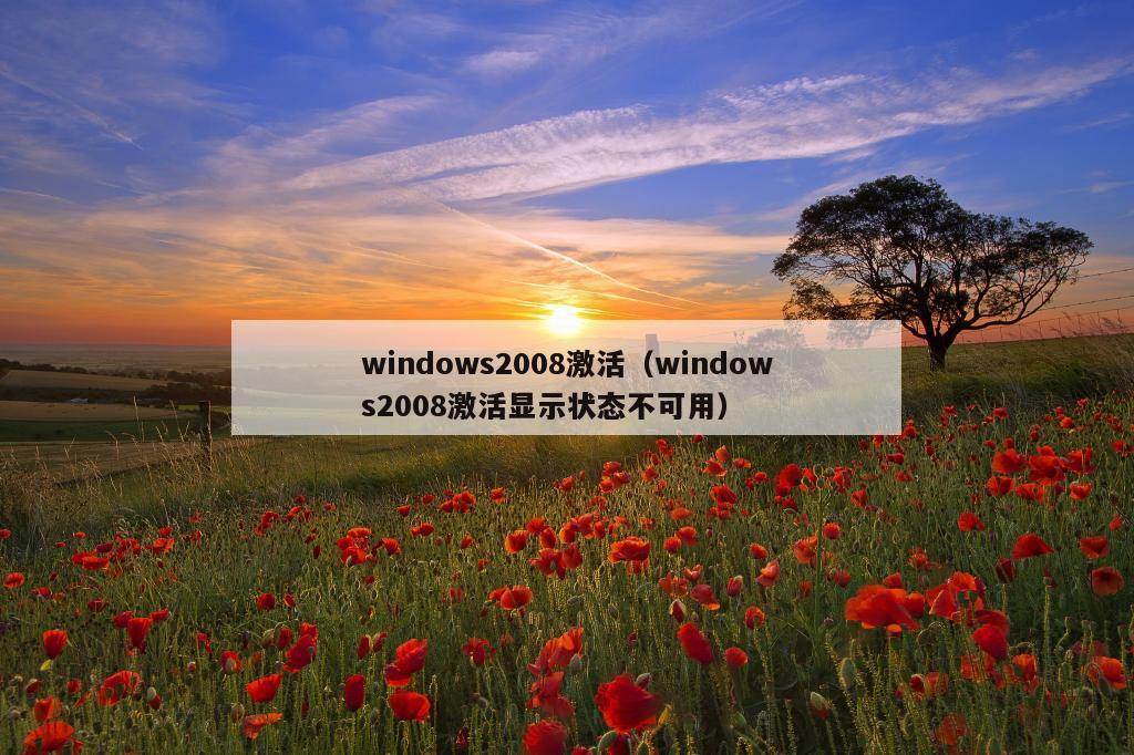 windows2008激活（windows2008激活显示状态不可用）