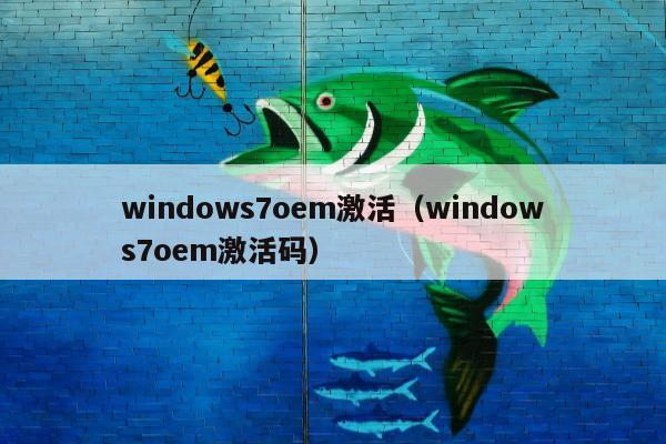 windows7oem激活（windows7oem激活码）