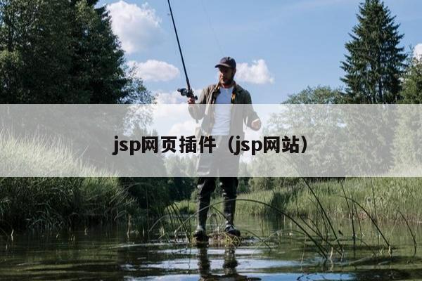 jsp网页插件（jsp网站）