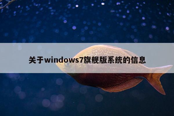 关于windows7旗舰版系统的信息
