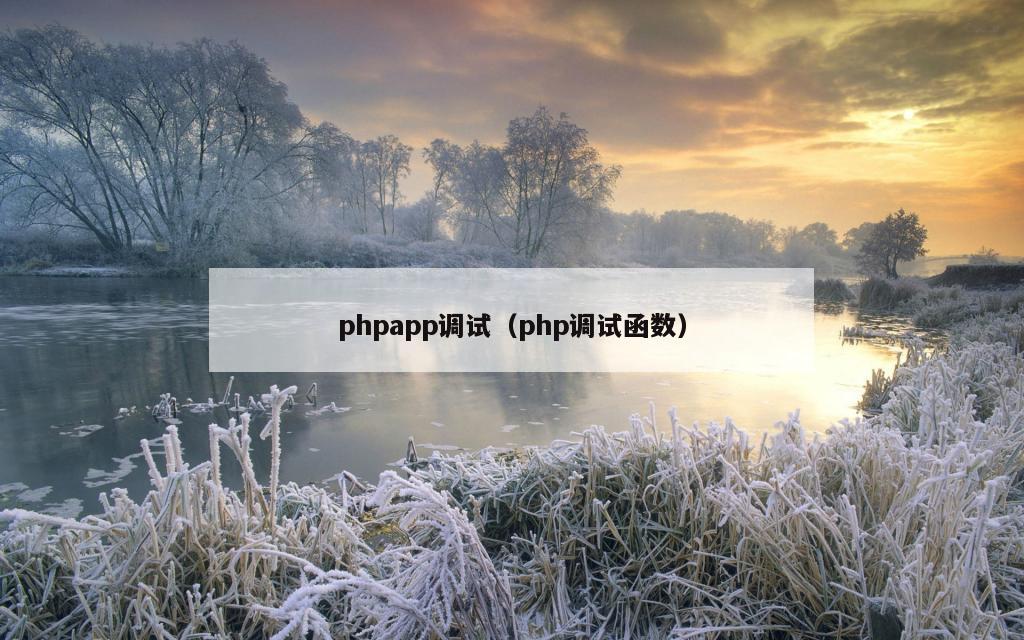 phpapp调试（php调试函数）