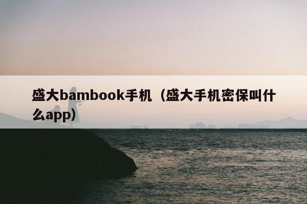 盛大bambook手机（盛大手机密保叫什么app）