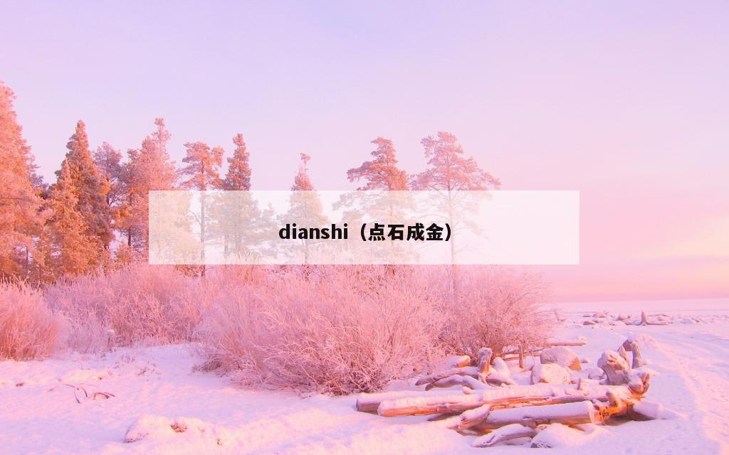 dianshi（点石成金）