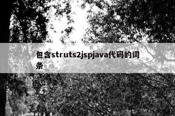 包含struts2jspjava代码的词条