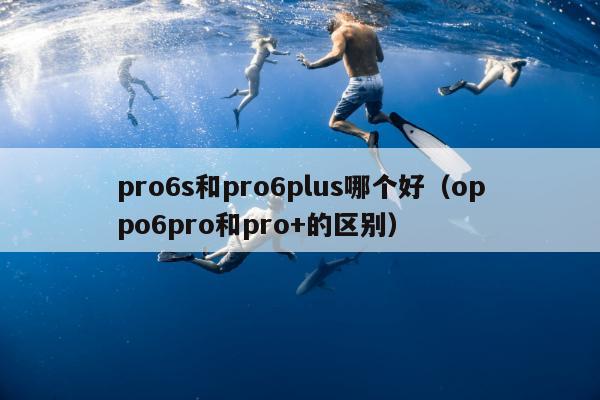 pro6s和pro6plus哪个好（oppo6pro和pro+的区别）