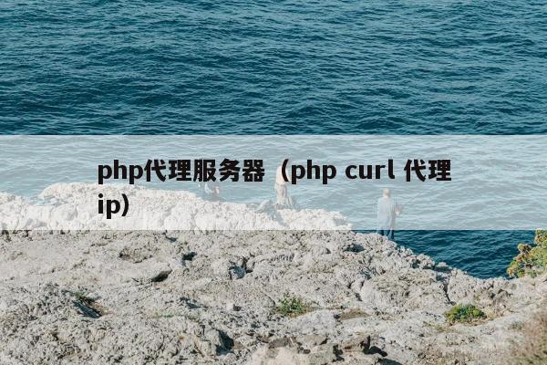 php代理服务器（php curl 代理ip）