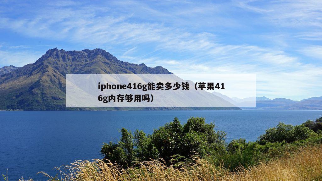 iphone416g能卖多少钱（苹果416g内存够用吗）