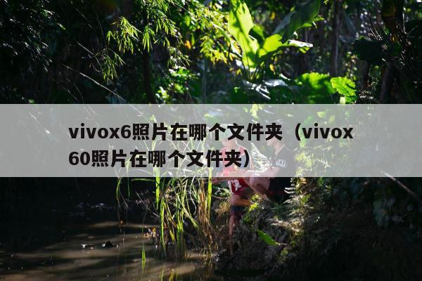 vivox6照片在哪个文件夹（vivox60照片在哪个文件夹）