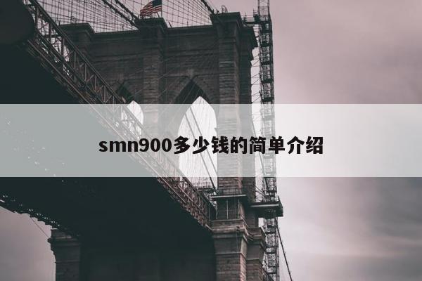 smn900多少钱的简单介绍
