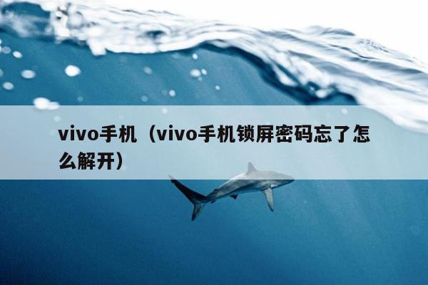 vivo手机（vivo手机锁屏密码忘了怎么解开）