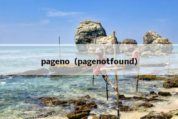 pageno（pagenotfound）