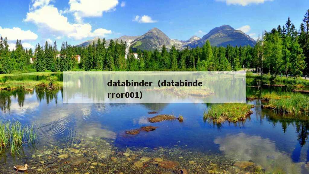 databinder（databinderror001）