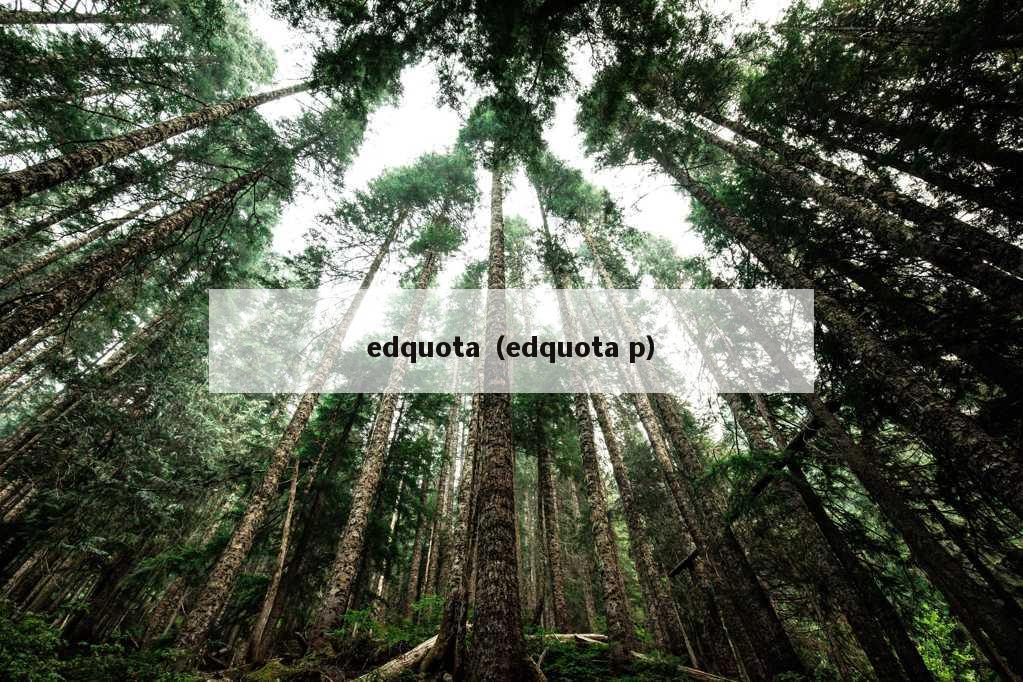 edquota（edquota p）