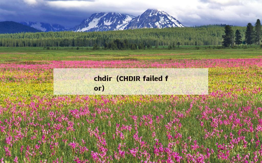chdir（CHDIR failed for）