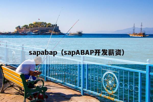 sapabap（sapABAP开发薪资）