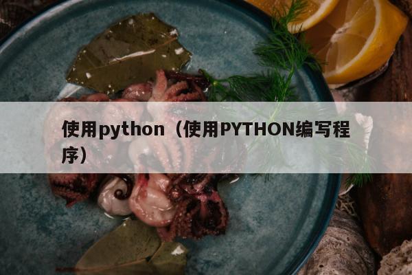 使用python（使用PYTHON编写程序）