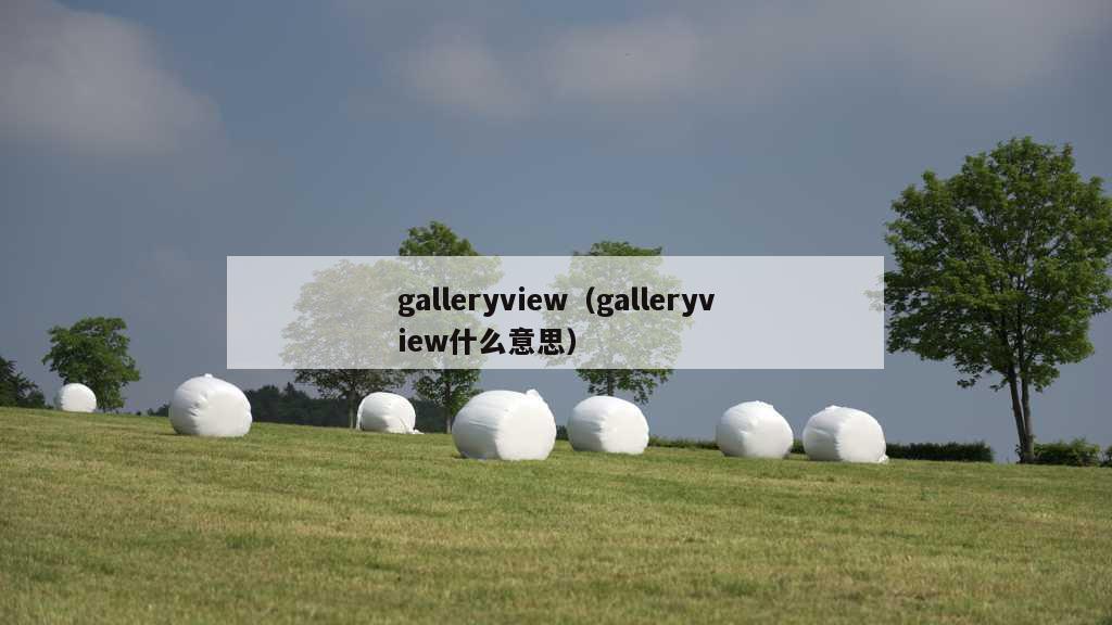 galleryview（galleryview什么意思）
