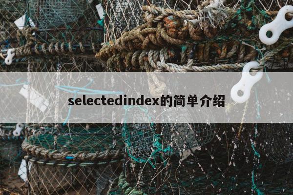 selectedindex的简单介绍