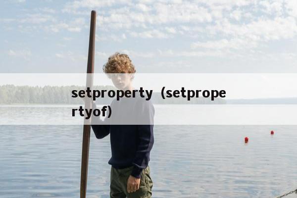 setproperty（setpropertyof）