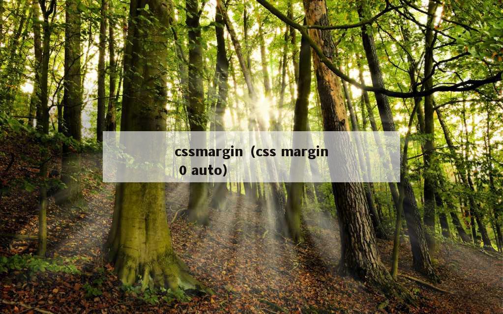 cssmargin（css margin 0 auto）