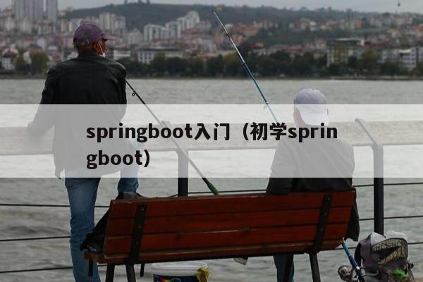 springboot入门（初学springboot）