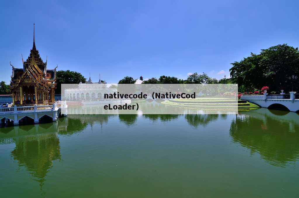 nativecode（NativeCodeLoader）