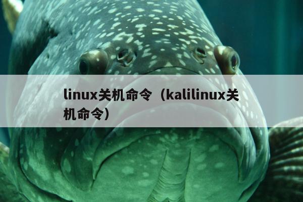 linux关机命令（kalilinux关机命令）