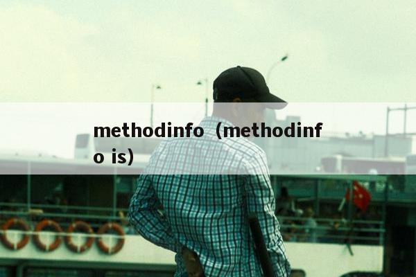 methodinfo（methodinfo is）